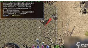 迷宫探险指南！重装幻境通行秘籍，宝藏获取全攻略