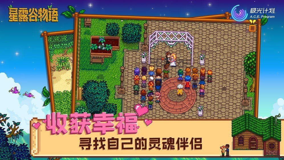 星露谷物语手机联机版1