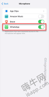 惊了！iPhone摄像头和麦克风无法被允许访问，背后隐藏啥秘密？