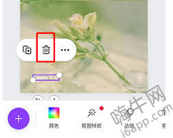 如何删除canva可画水印及删除方法
