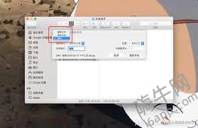 Mac 不借助第三方应用程序批量重命名文件的高效方法