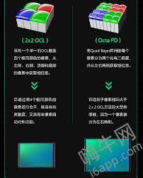 盘点那些配备超大传感器的手机型号