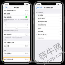 iPhone设置Home键的高效改进方法全解析