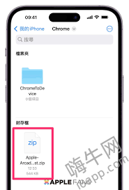 iOS下载文件存放位置大