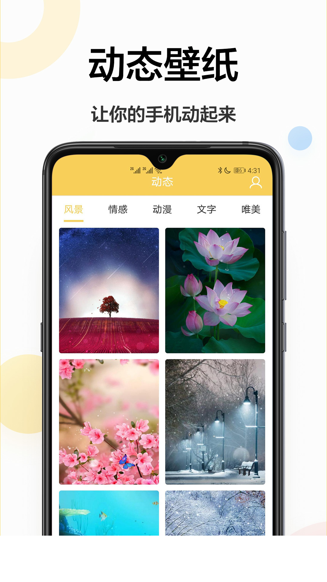 手机主题壁纸1