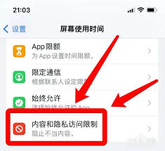 惊爆！苹果13关闭app资源库的超实用秘籍大公开